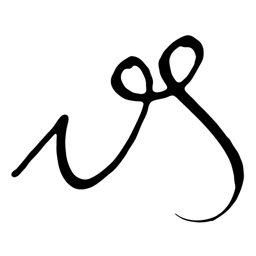 White_favicon_wordpress_vananisores_512x512