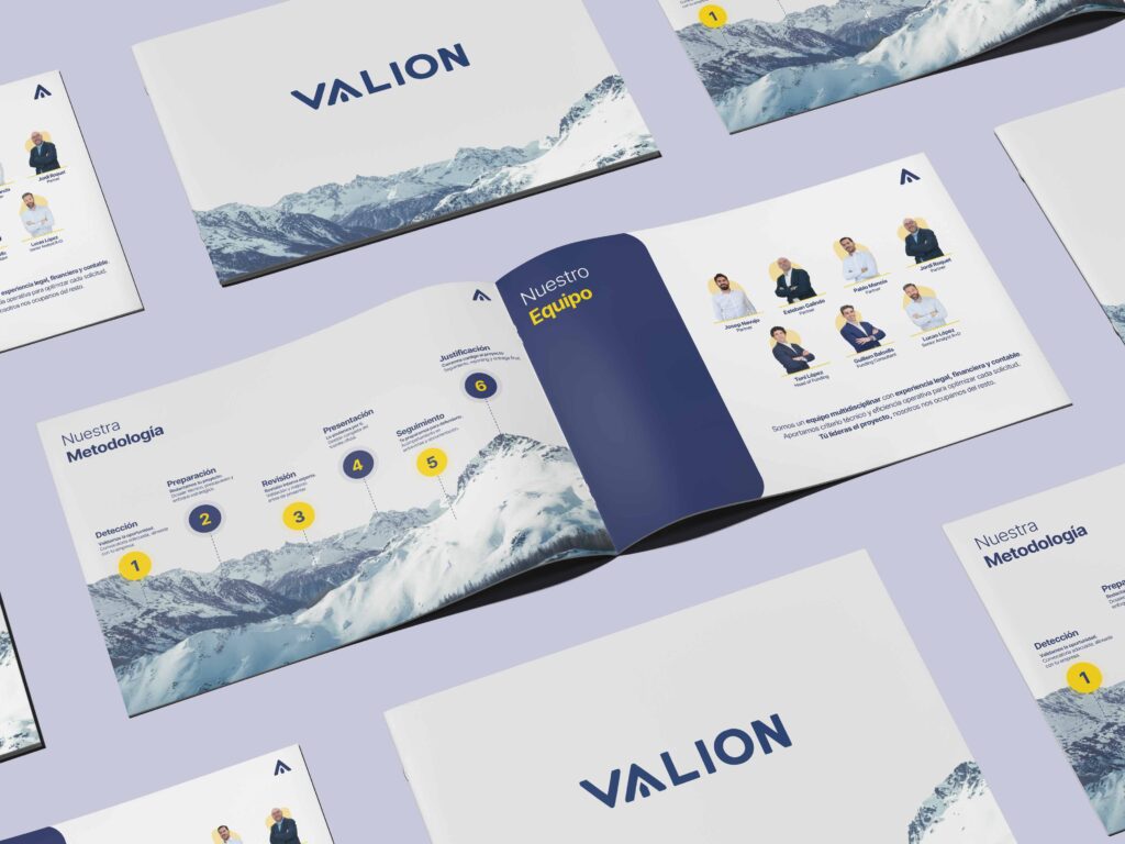 Valion Brandmark